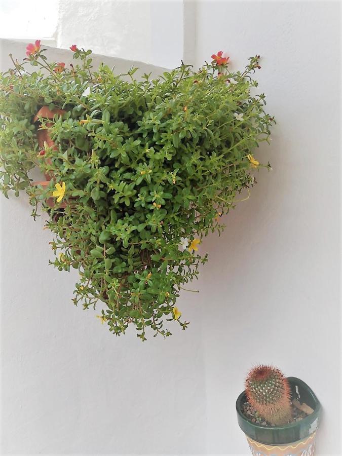 Budda House Puerto Del Carmen. 蒂亚斯 外观 照片